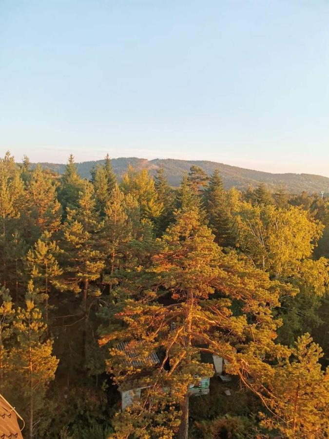 Divcibare Planinski Mir A19 Exterior foto